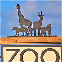 animal silhouettes 200